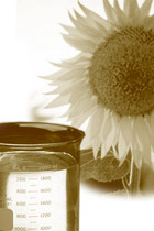 biodiesel