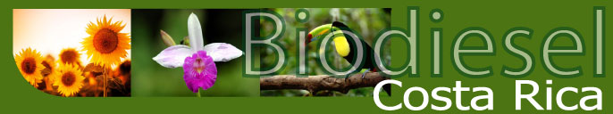 biodiesel